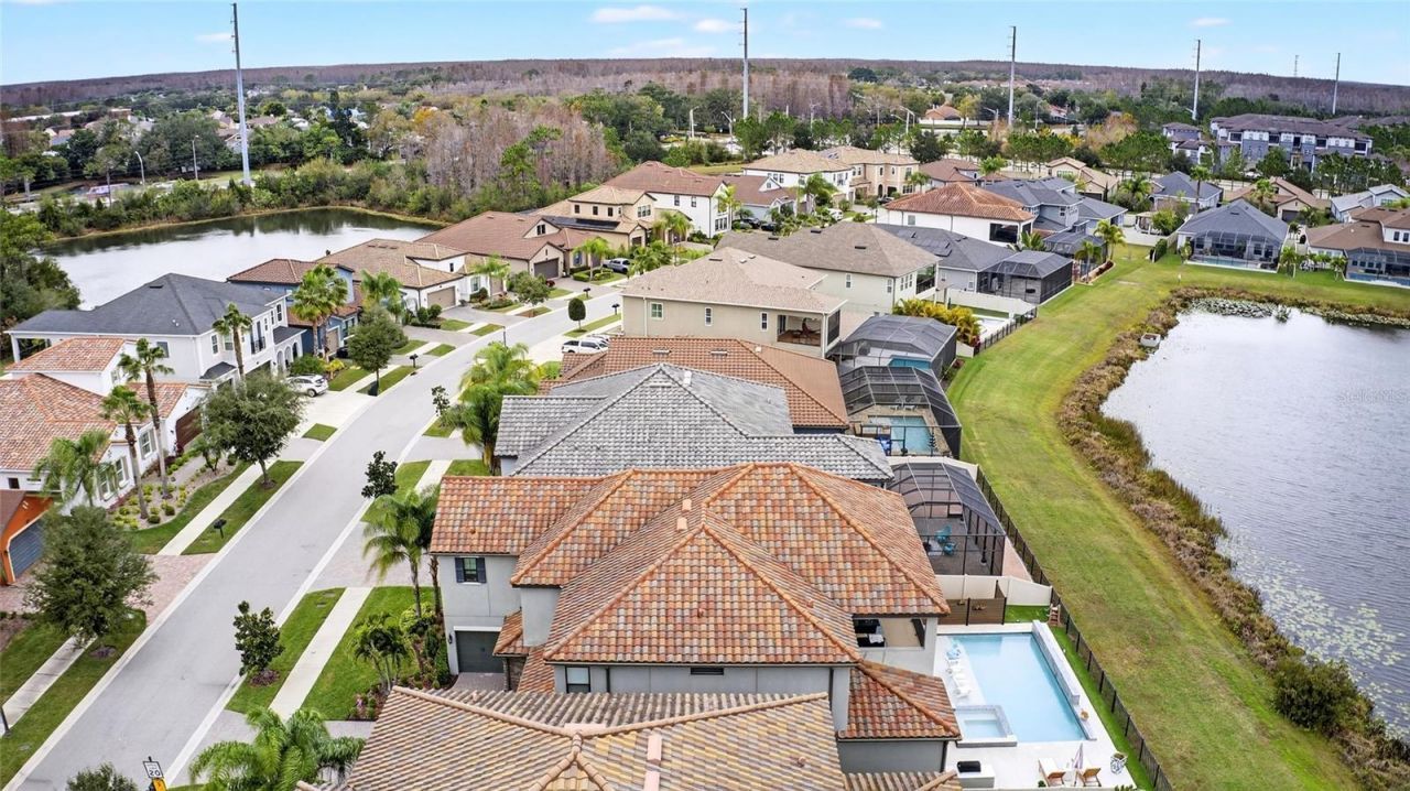 18215 Leafmore Street, Lutz, FL 33548 Photo