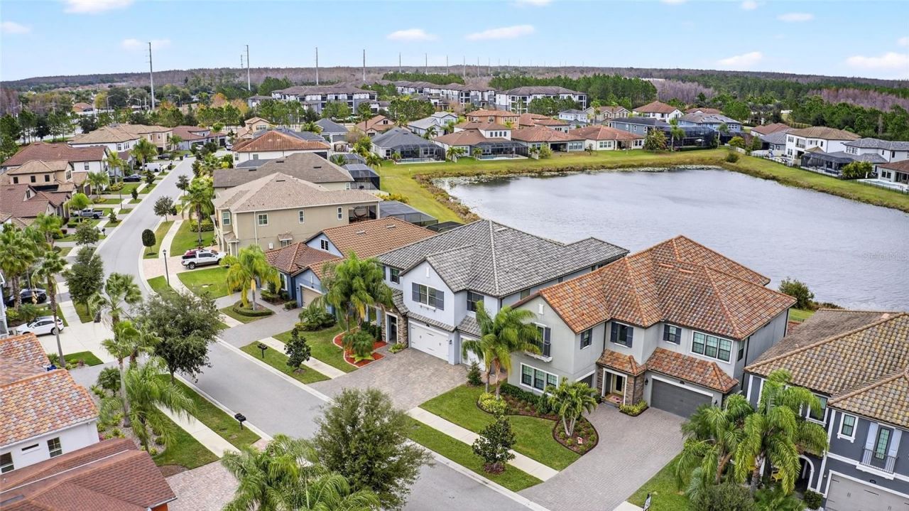 18215 Leafmore Street, Lutz, FL 33548 Photo