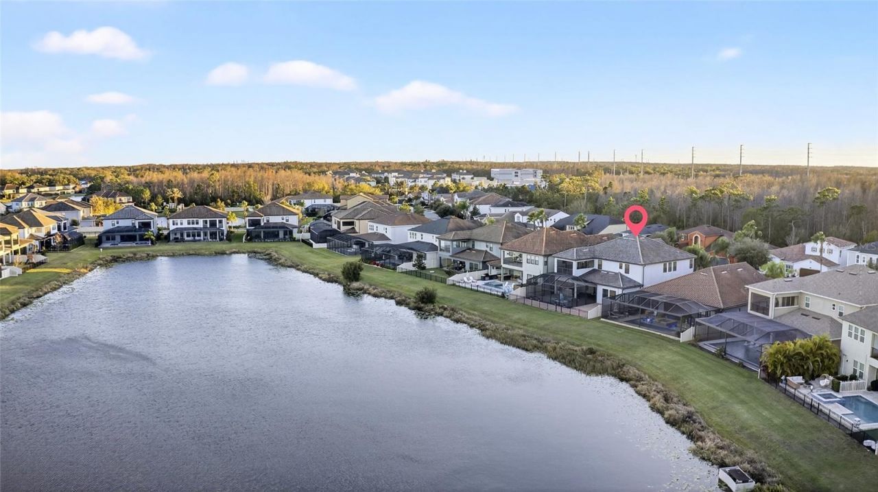 18215 Leafmore Street, Lutz, FL 33548 Photo