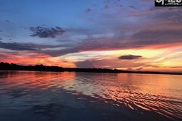 639 Kingfisher Drive  photo 4