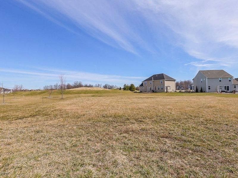 548 William Street, Lagrange, OH 44050 Photo 37