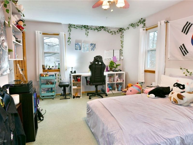 5298 Calla Avenue NW, Champion, OH 44483 Photo 38