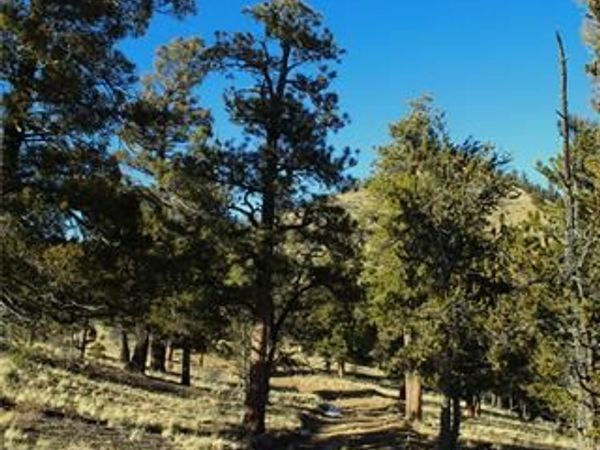 3632 Clear Creek Road, Hartsel, CO 80449