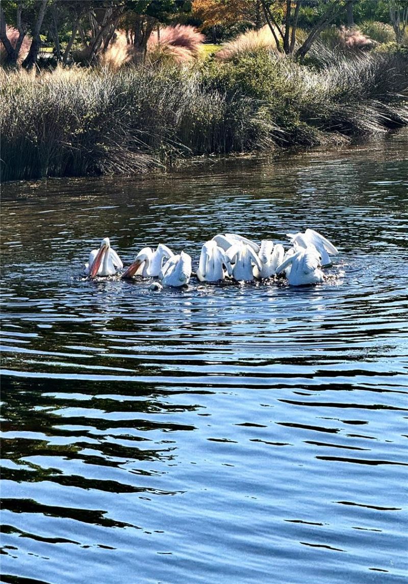 310 Compass Point Drive, Unit 101, Bradenton, FL 34209 Photo