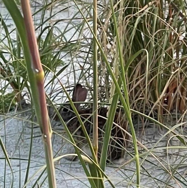 310 Compass Point Drive, Unit 101, Bradenton, FL 34209 Photo