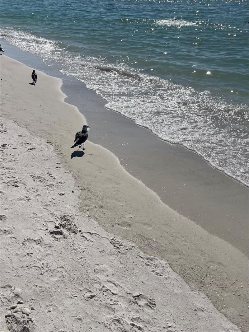 310 Compass Point Drive, Unit 101, Bradenton, FL 34209 Photo