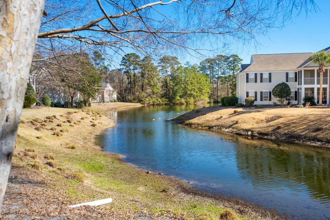 4665 Fringetree Dr. Photo 22