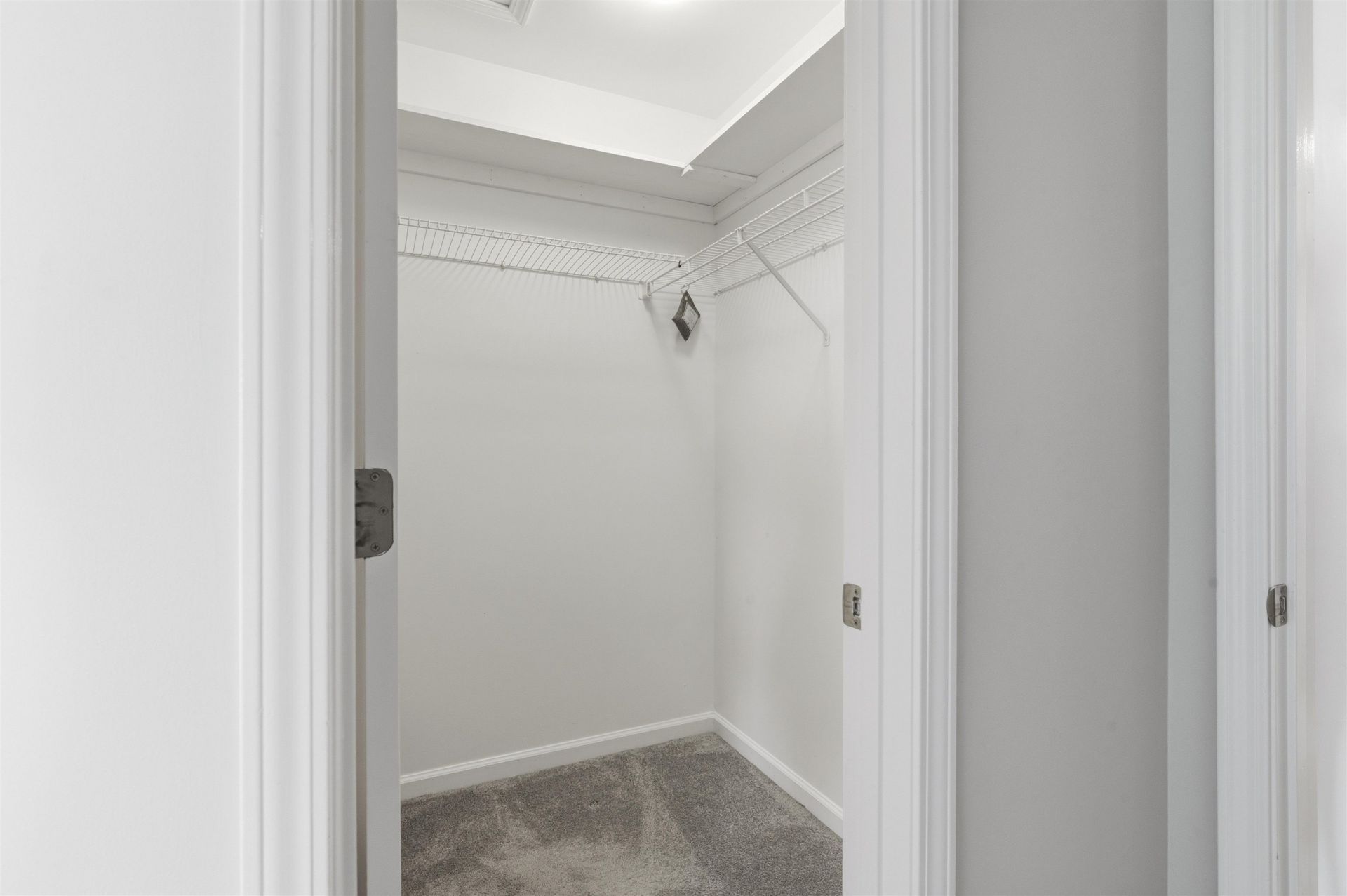 4665 Fringetree Dr. Photo 22