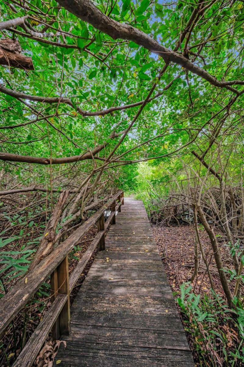 8871 Silverthorn Road, Seminole, FL 33777 Photo