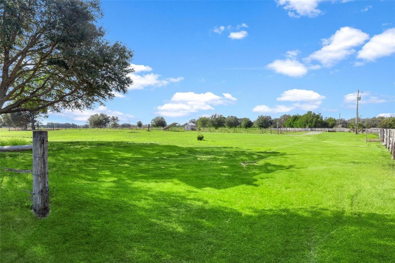 39320 Lake Norris Road, Eustis, FL 32736 Photo