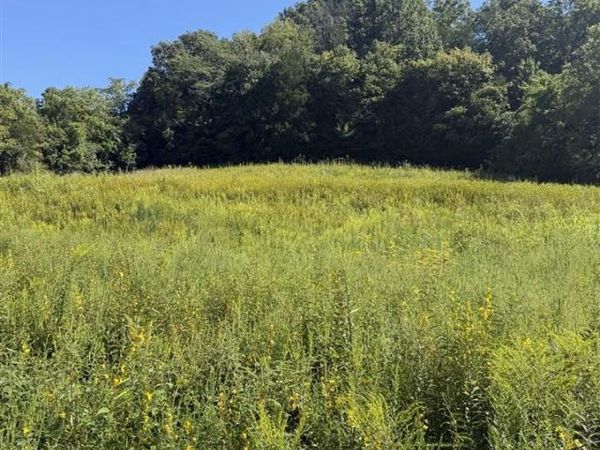 Lot Jackson Hollow Road, Burkesville, KY 42717