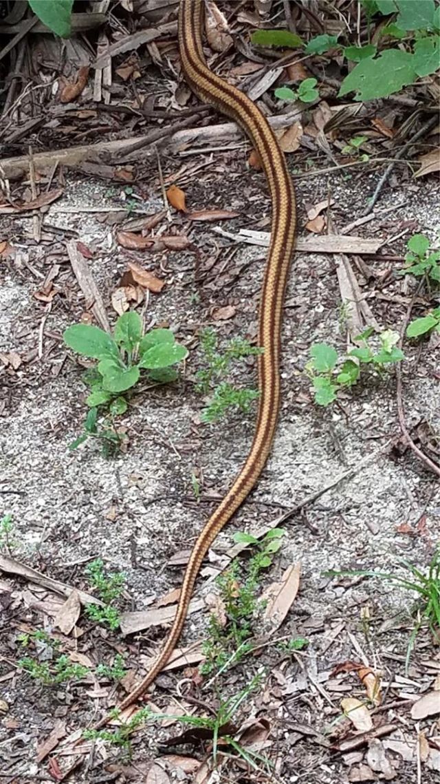 1798 Hideaway Lane, Edgewater, FL 32132 Photo