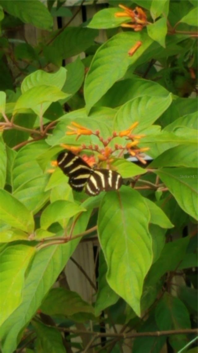 1798 Hideaway Lane, Edgewater, FL 32132 Photo