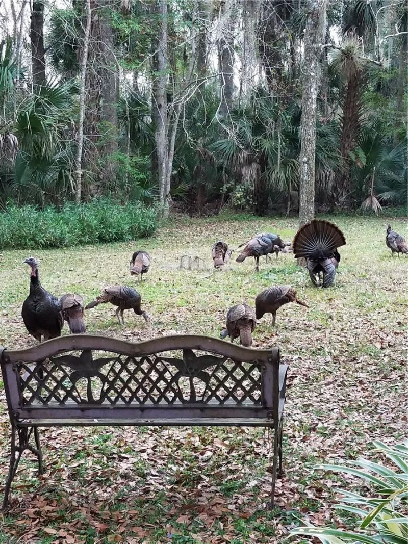 1798 Hideaway Lane, Edgewater, FL 32132 Photo