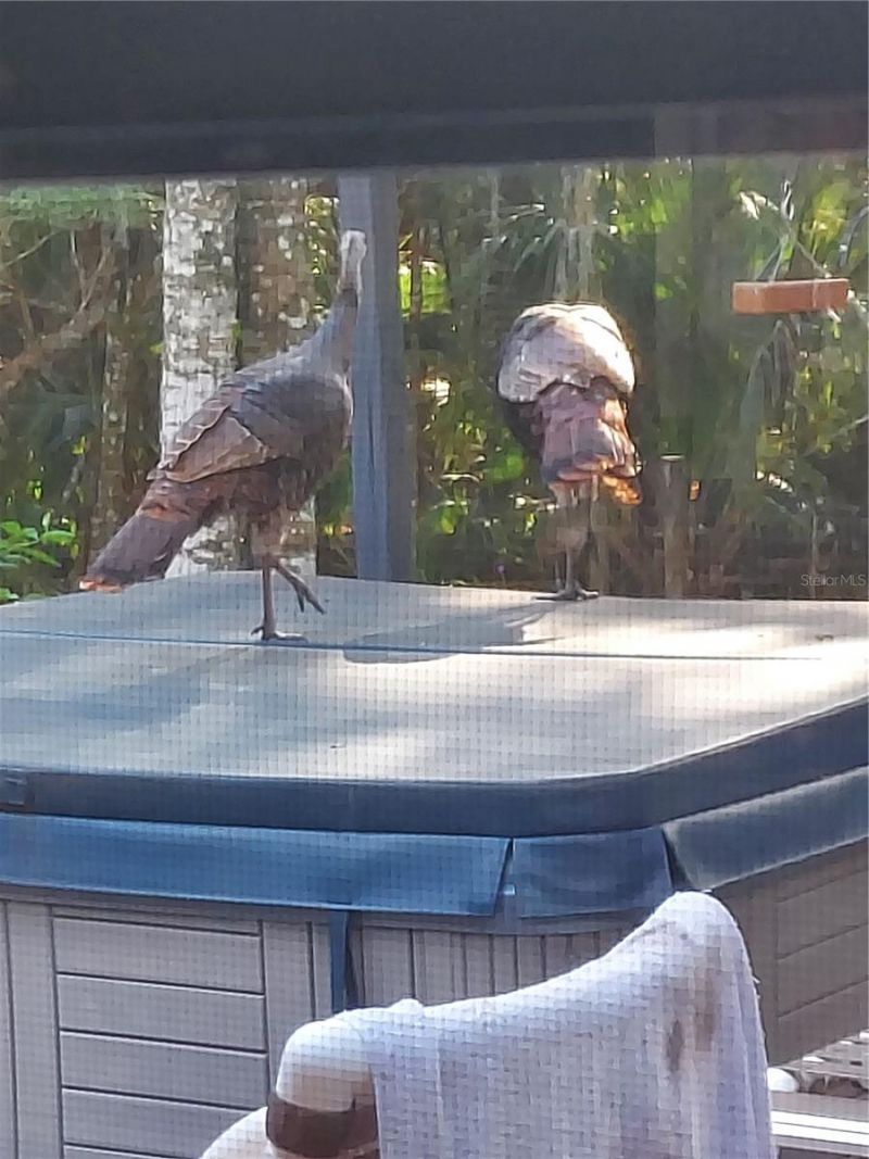 1798 Hideaway Lane, Edgewater, FL 32132 Photo