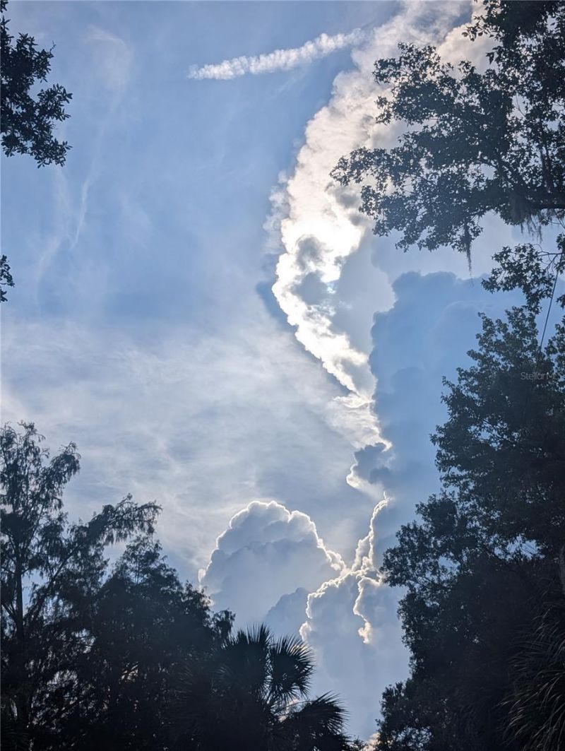 1798 Hideaway Lane, Edgewater, FL 32132 Photo