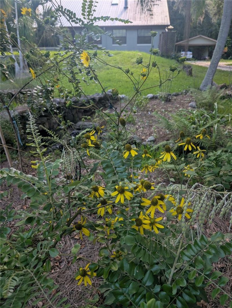 1798 Hideaway Lane, Edgewater, FL 32132 Photo