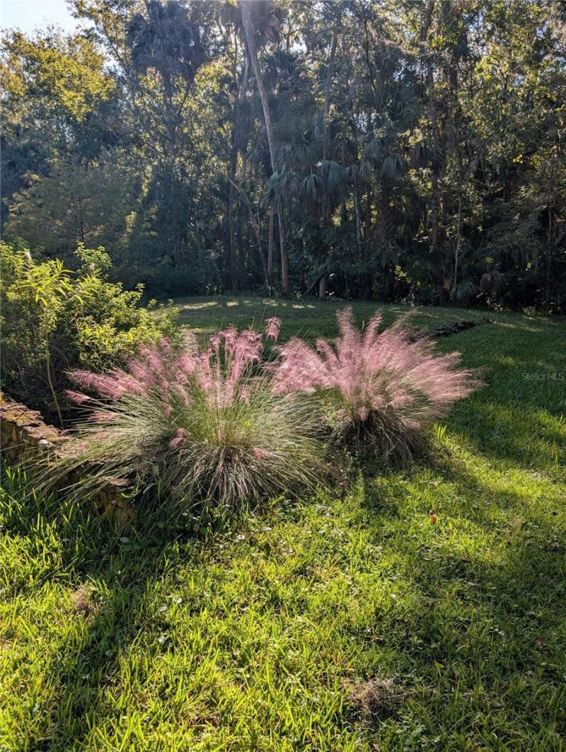 1798 Hideaway Lane, Edgewater, FL 32132 Photo