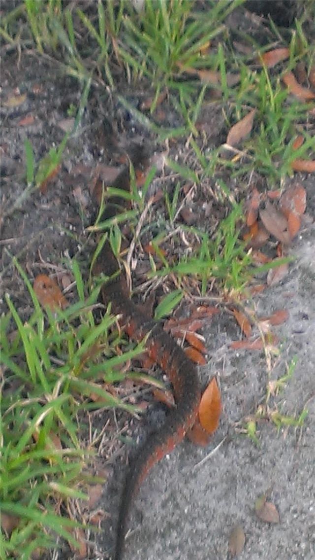 1798 Hideaway Lane, Edgewater, FL 32132 Photo