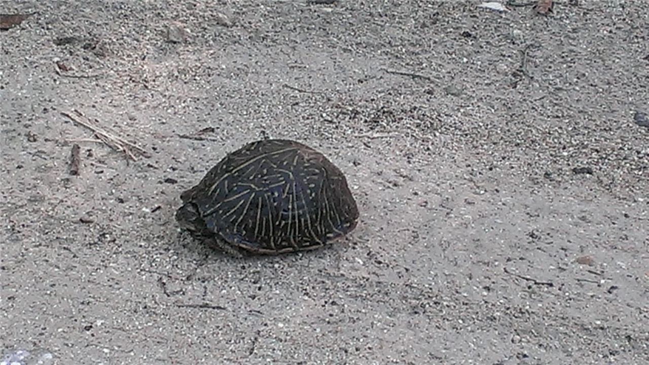 1798 Hideaway Lane, Edgewater, FL 32132 Photo