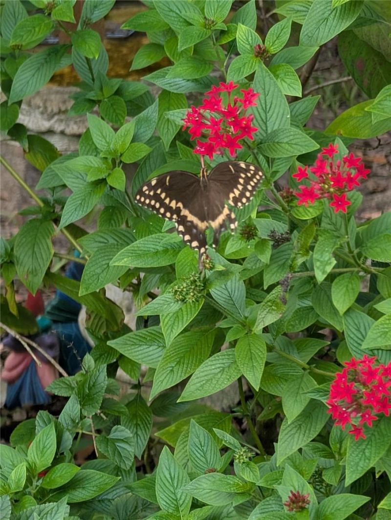 1798 Hideaway Lane, Edgewater, FL 32132 Photo