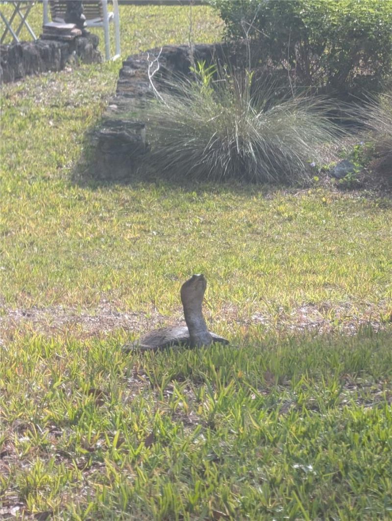 1798 Hideaway Lane, Edgewater, FL 32132 Photo