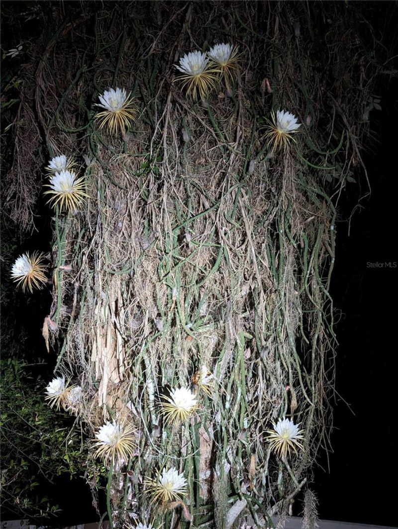 1798 Hideaway Lane, Edgewater, FL 32132 Photo