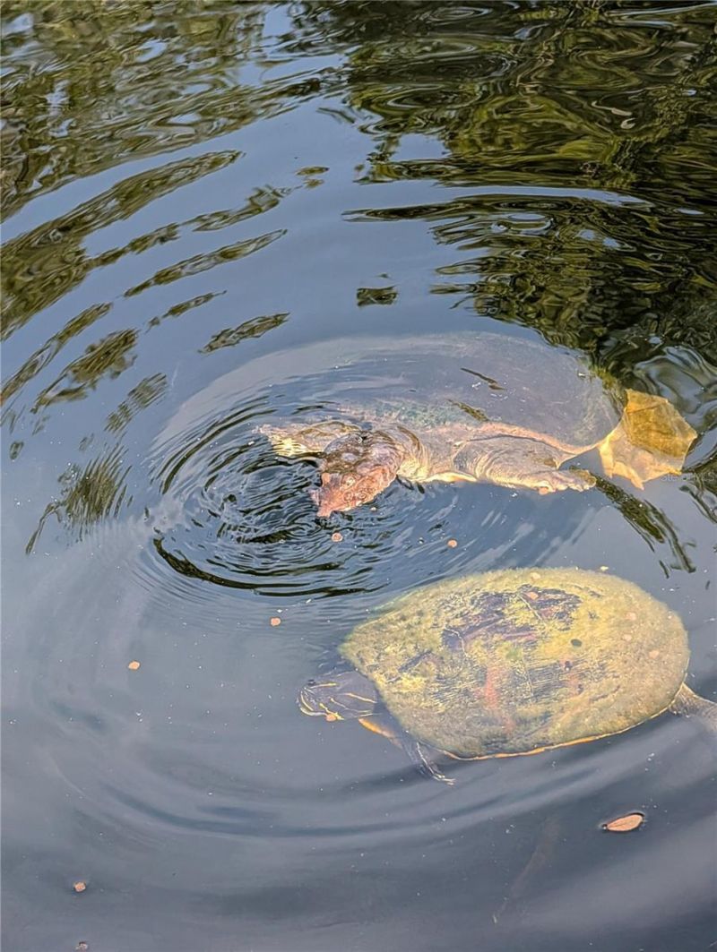 1798 Hideaway Lane, Edgewater, FL 32132 Photo