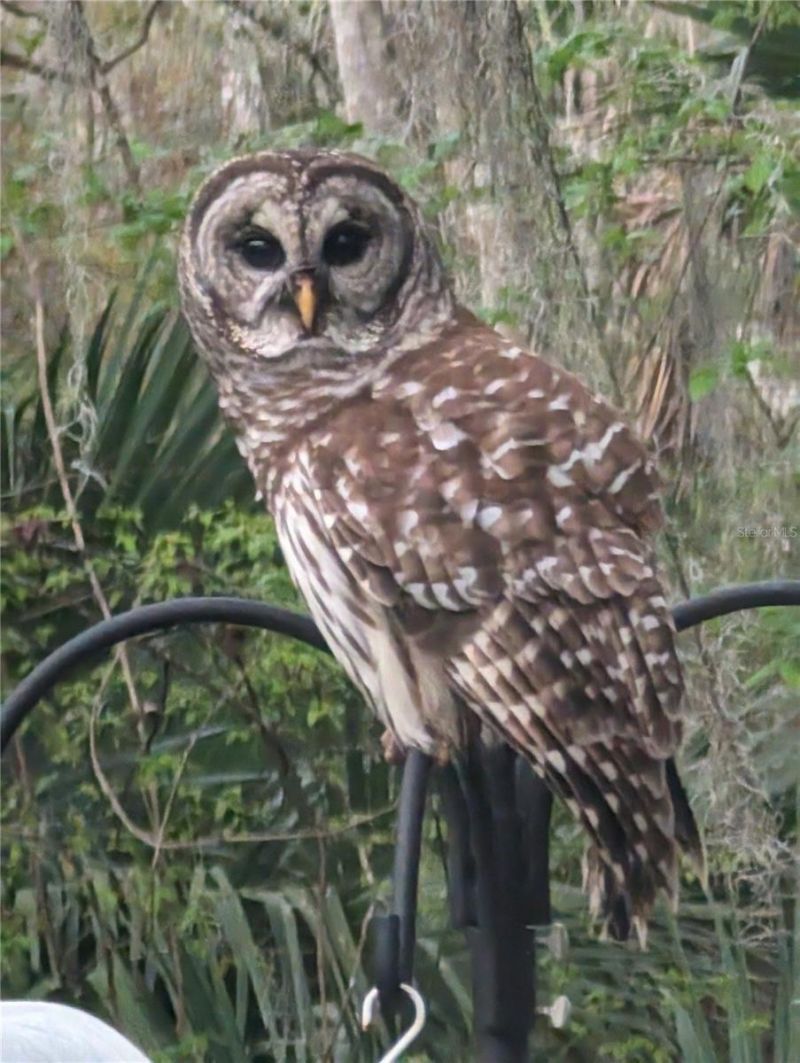 1798 Hideaway Lane, Edgewater, FL 32132 Photo