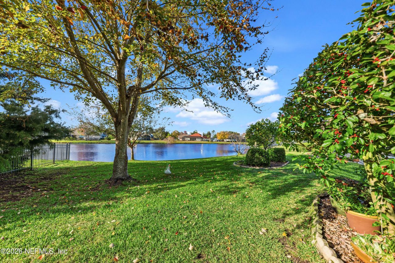 1768 Eagle Watch Drive, Fleming Island, FL 32003 Photo