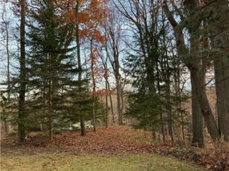 5024 Dorset Drive, Brooklyn Heights, OH 44131 Photo 4