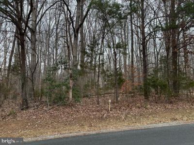 Lots 1126 And 1127 Nottingham /ash Road, Louisa, VA 23093 Main Photo