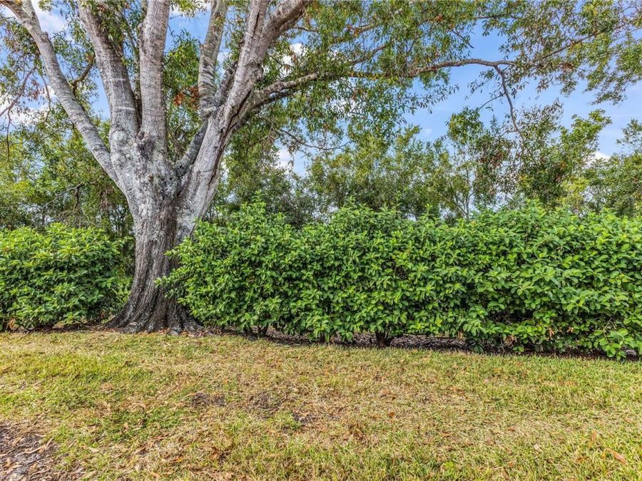 Property Image 55