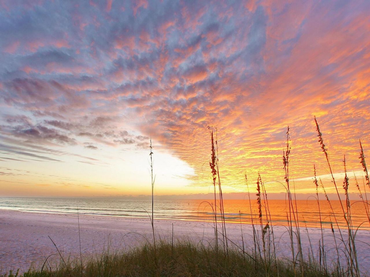 399 Gowdy Road, Sarasota, FL 34237 Photo