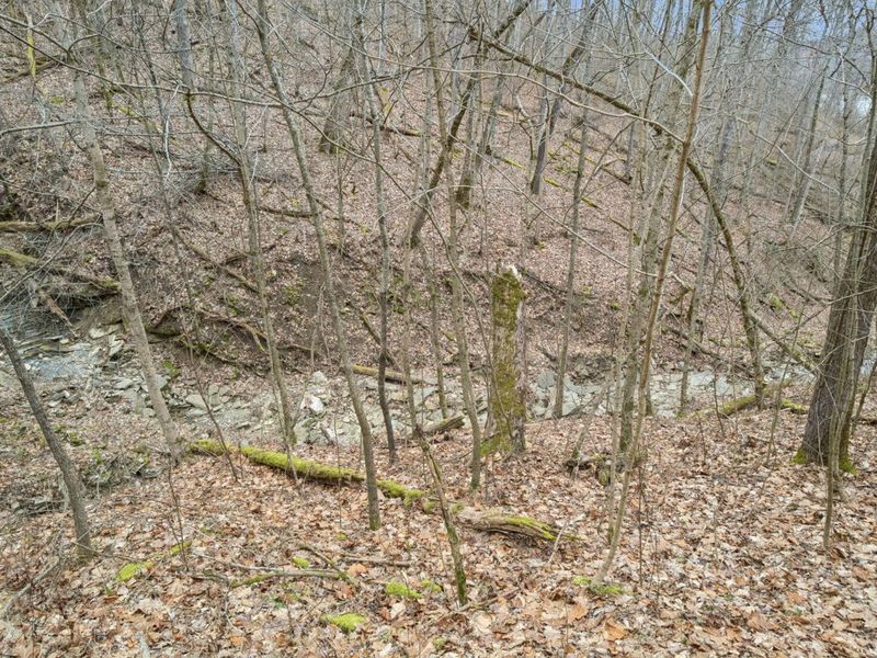 4718 KY-8 (E Mary Ingles Hwy), Augusta, KY 41002 Photo 35