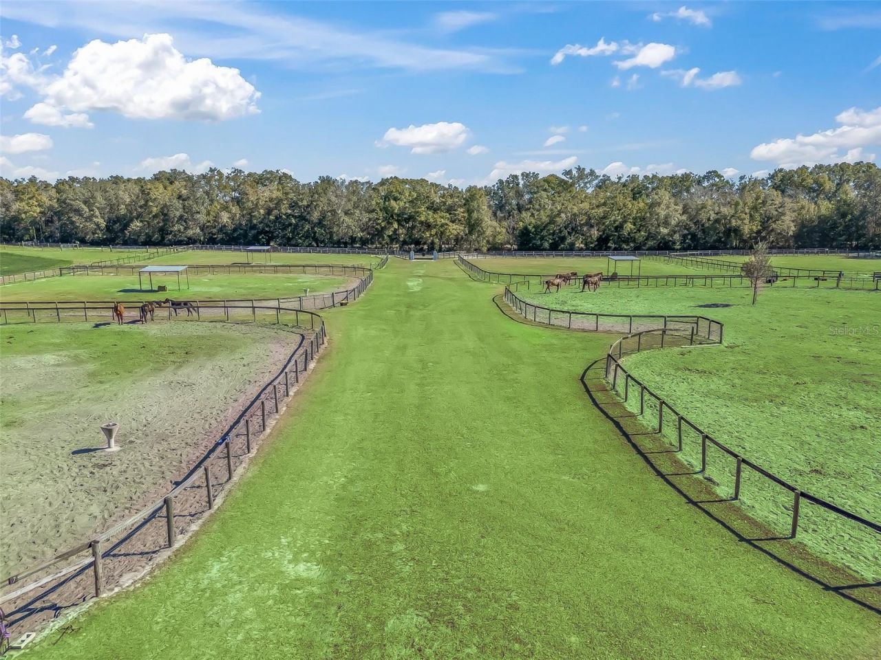 19331 E Levy Street, Williston, FL 32696 Photo