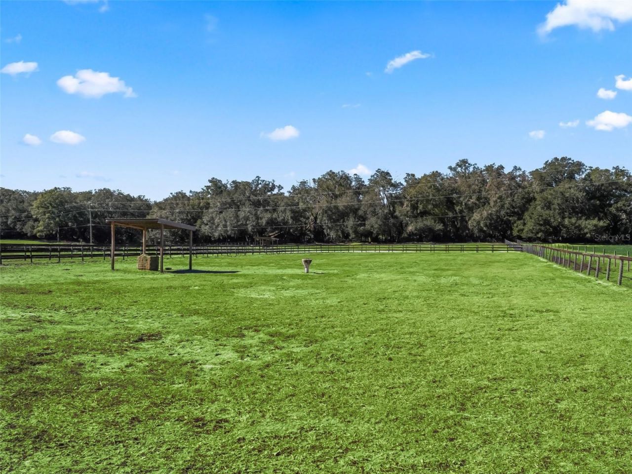 19331 E Levy Street, Williston, FL 32696 Photo