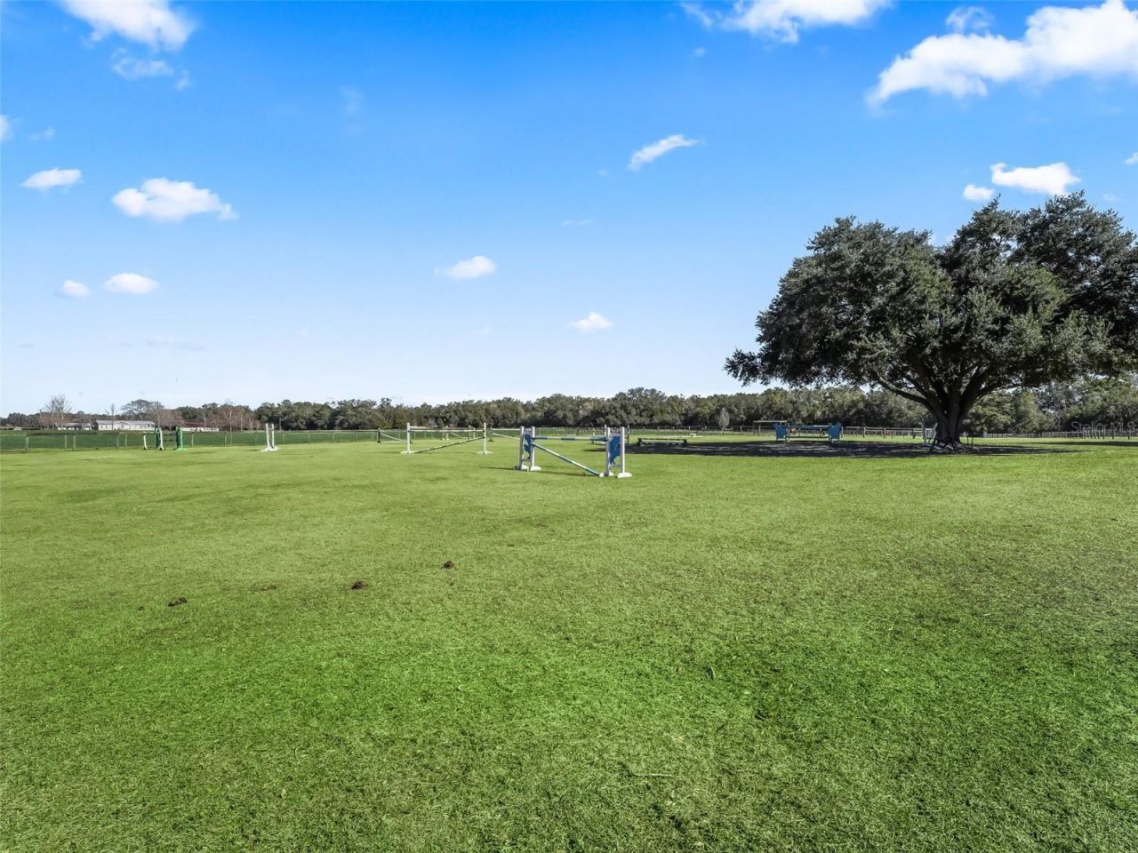 19331 E Levy Street, Williston, FL 32696 Photo