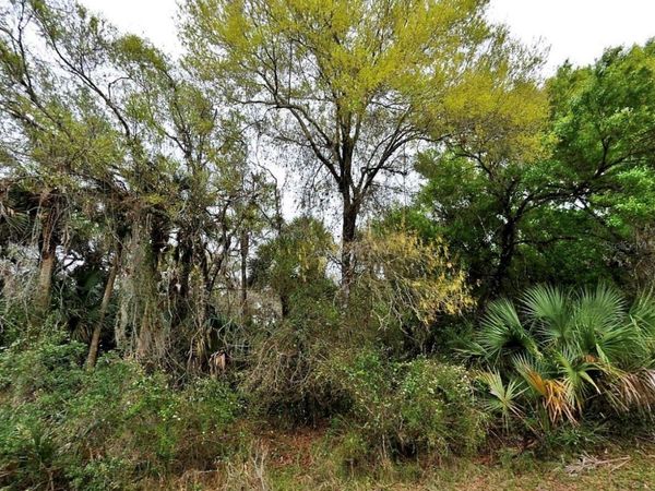 BACKERT RD., NORTH PORT, FL 34291