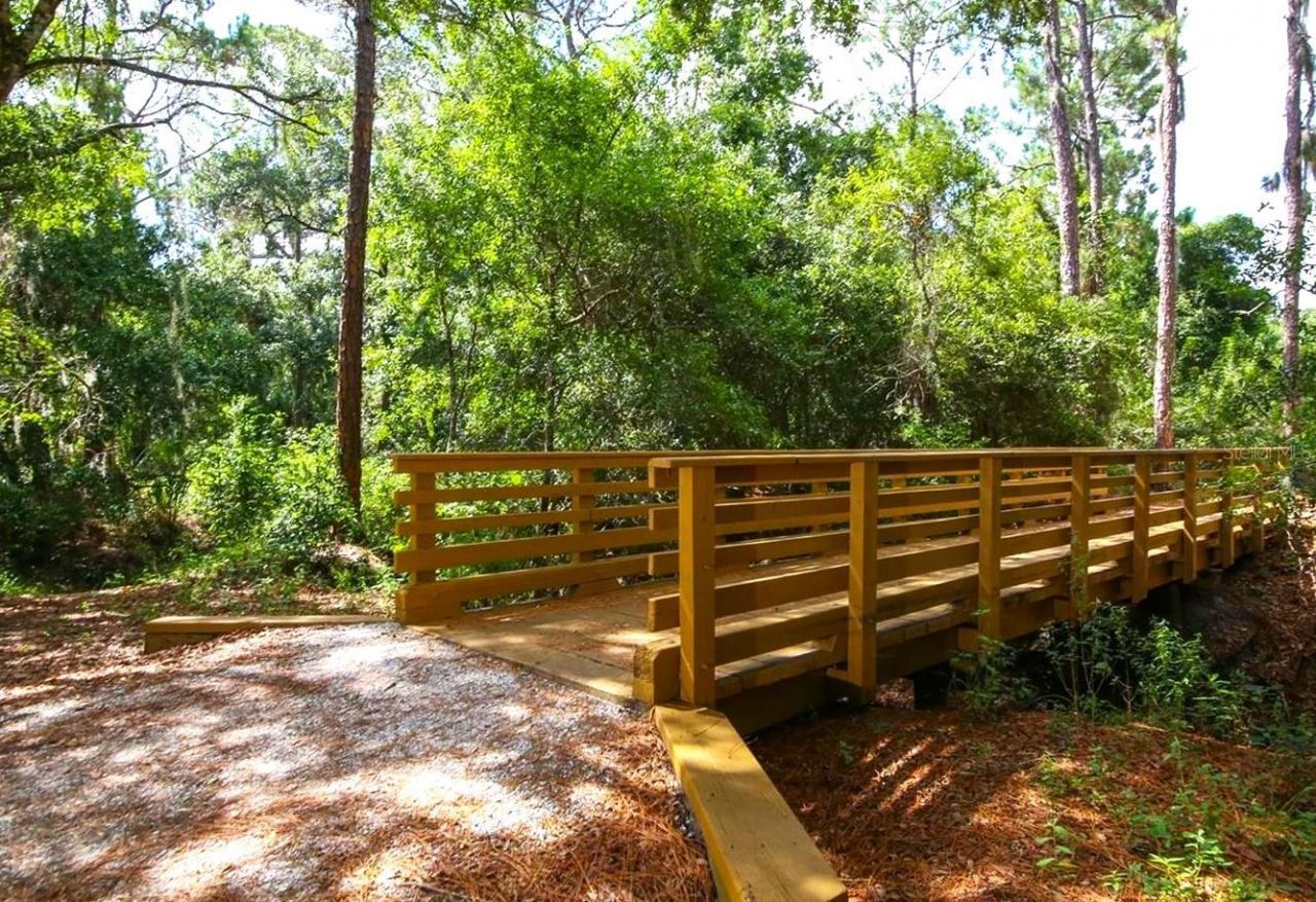 14163 Cattle Egret Place, Lakewood Ranch, FL 34202 Photo