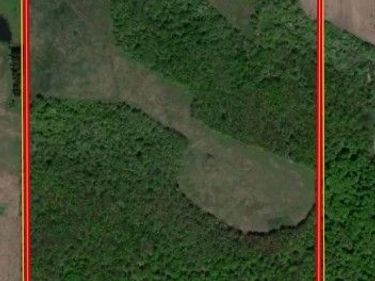 Thornton Road, Cherry Creek, NY 14732