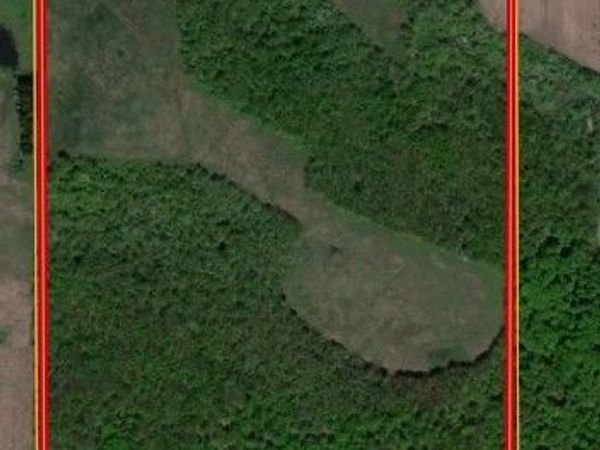 Thornton Road, Cherry Creek, NY 14732