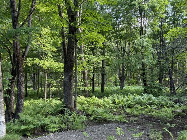 47 Greenville Road, Unit Lot 3, Shirley, ME 04485