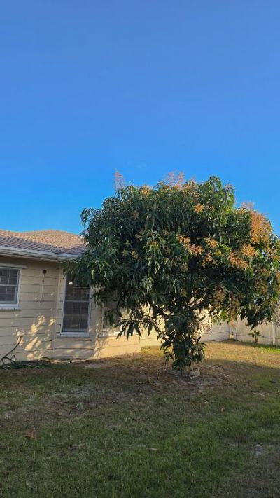 126 NW Hibiscus St Street Nw, Port Saint Lucie, FL 34983 Photo