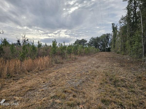 TBD Lovewood Road, Cottondale, FL 32431