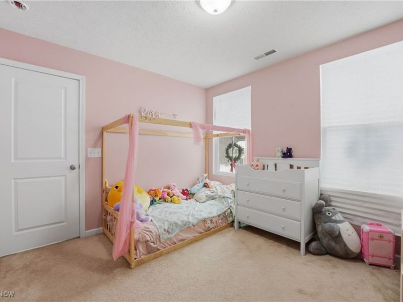 5100 Misty Glen Lane, Ravenna, OH 44266 Photo 26