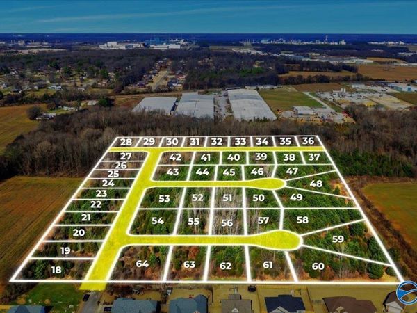 15 ACRES Owensby Way, Trinity, AL 35673