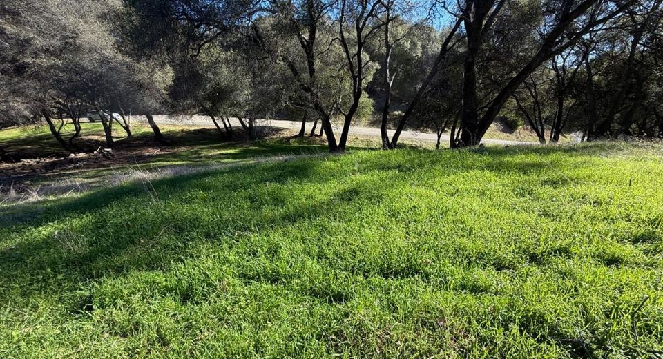 Lauren Ln, Jackson, CA 95642 Photo