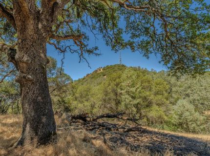 Lauren Ln, Jackson, CA 95642 Photo