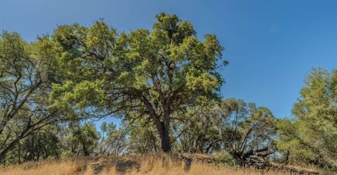 Lauren Ln, Jackson, CA 95642 Photo